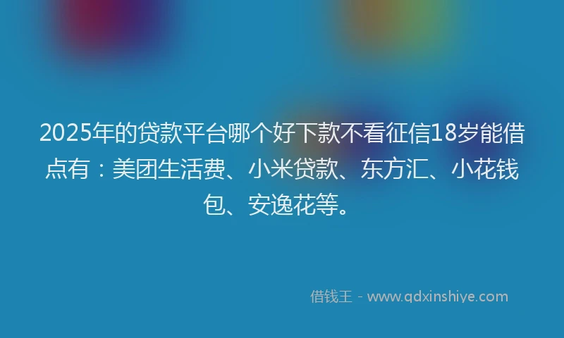 2025年的贷款平台哪个好下款不看征信18岁能借点有：美团生活费、小米贷款、东方汇、小花钱包、安逸花等。