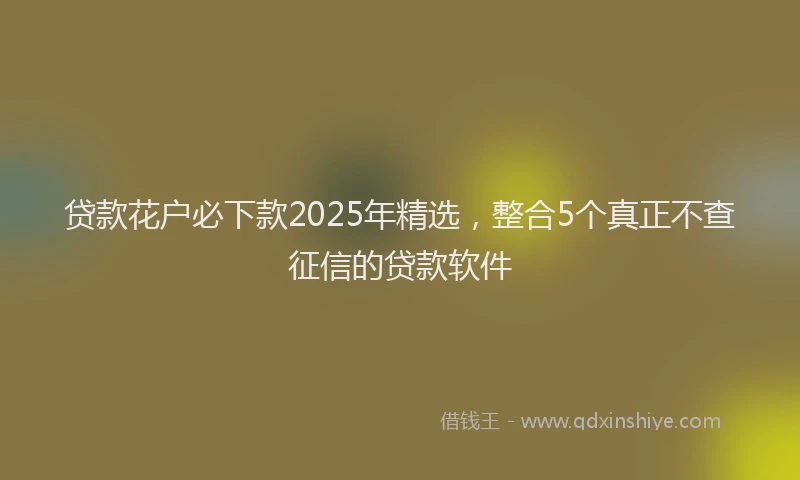 贷款花户必下款2025年精选，整合5个真正不查征信的贷款软件