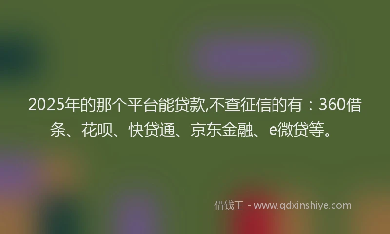 2025年的那个平台能贷款,不查征信的有：360借条、花呗、快贷通、京东金融、e微贷等。