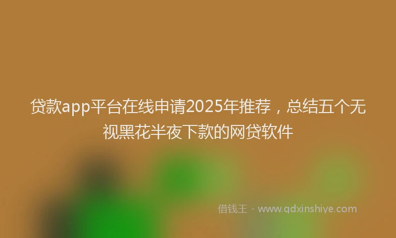 贷款app平台在线申请2025年推荐，总结五个无视黑花半夜下款的网贷软件