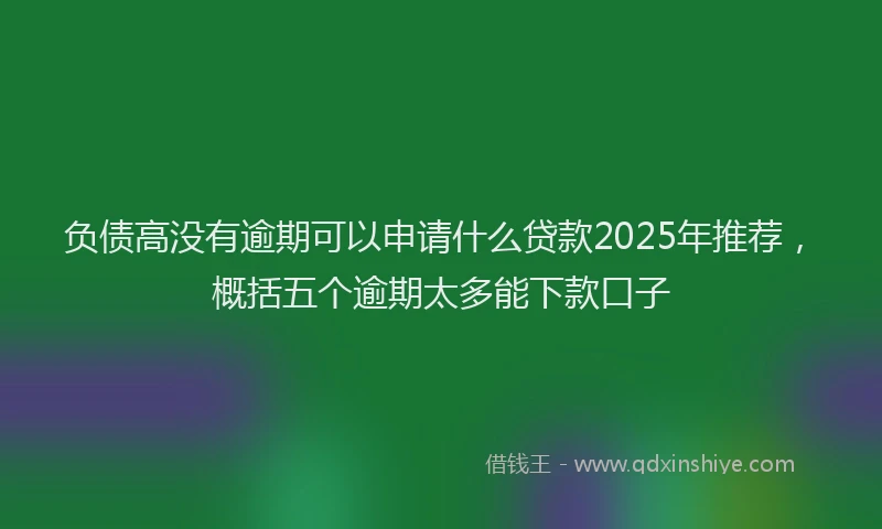 负债高没有逾期可以申请什么贷款2025年推荐，概括五个逾期太多能下款口子