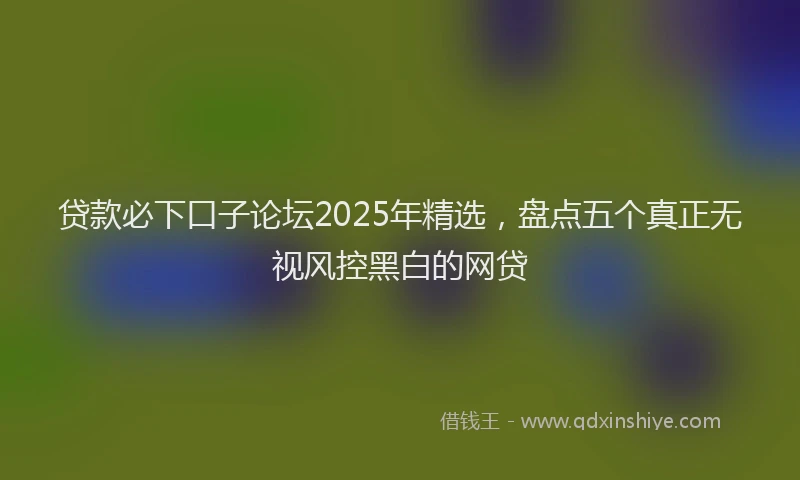 贷款必下口子论坛2025年精选，盘点五个真正无视风控黑白的网贷