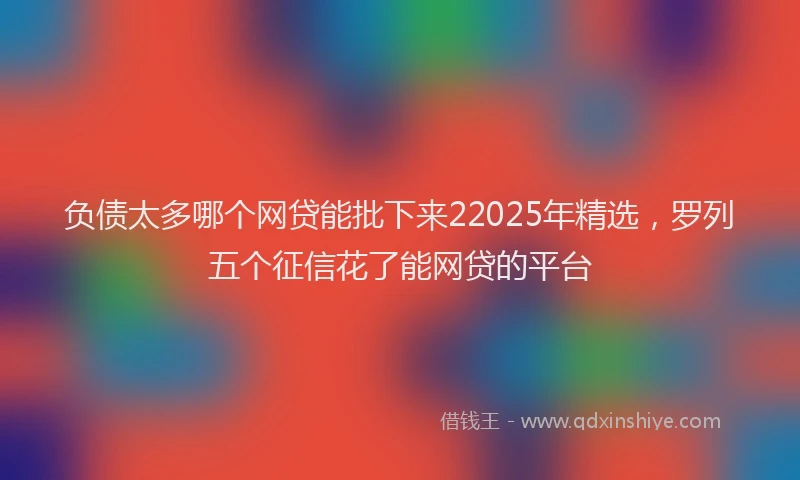 负债太多哪个网贷能批下来22025年精选，罗列五个征信花了能网贷的平台
