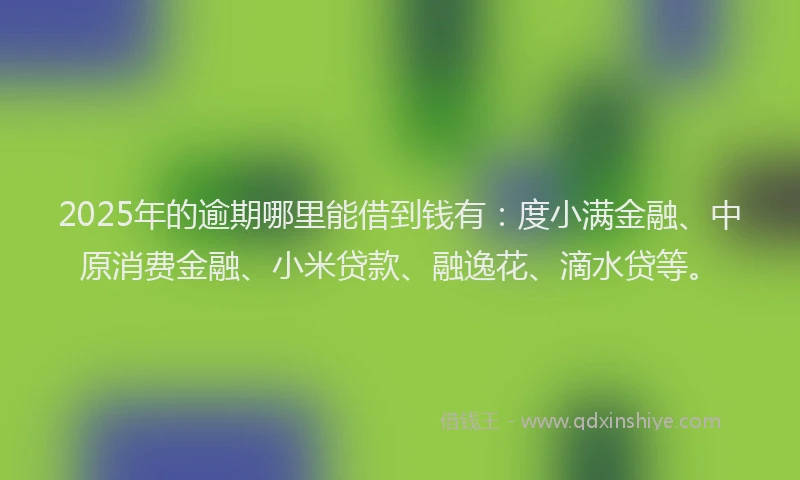 2025年的逾期哪里能借到钱有：度小满金融、中原消费金融、小米贷款、融逸花、滴水贷等。