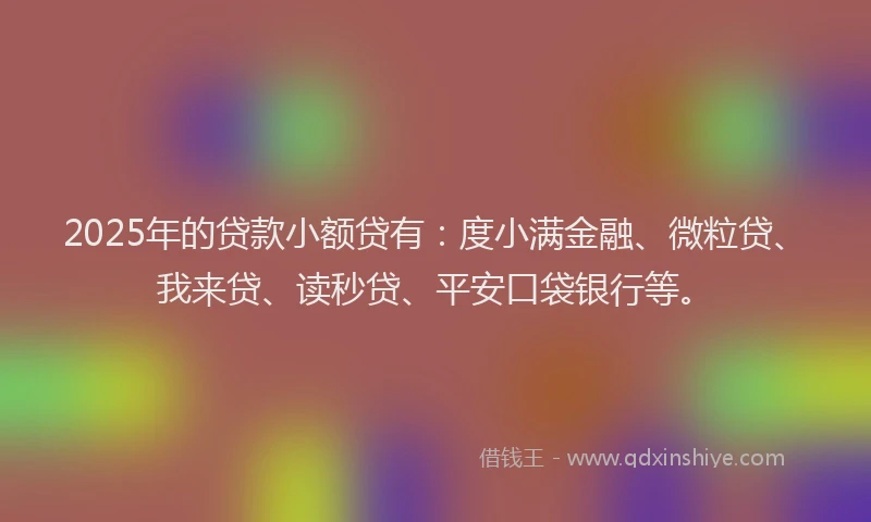 2025年的贷款小额贷有：度小满金融、微粒贷、我来贷、读秒贷、平安口袋银行等。