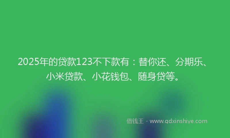 2025年的贷款123不下款有：替你还、分期乐、小米贷款、小花钱包、随身贷等。