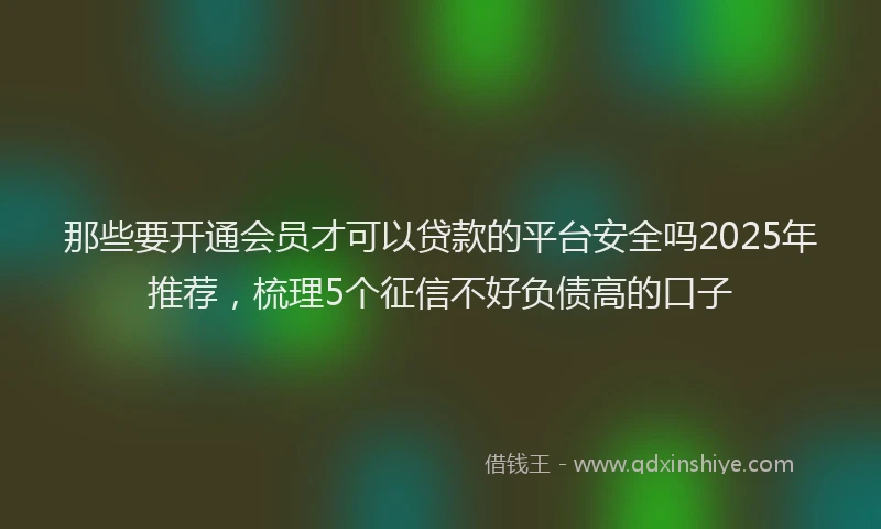 那些要开通会员才可以贷款的平台安全吗2025年推荐，梳理5个征信不好负债高的口子