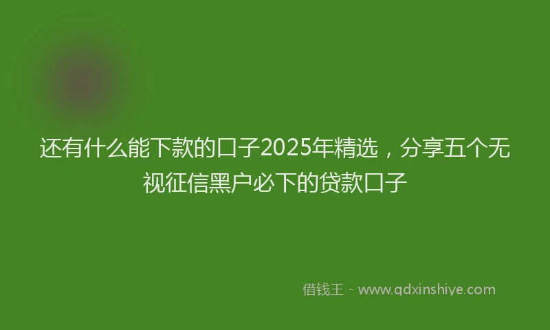 还有什么能下款的口子2025年精选，分享五个无视征信黑户必下的贷款口子