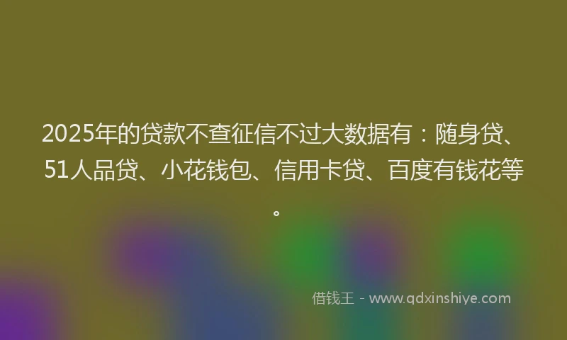 2025年的贷款不查征信不过大数据有：随身贷、51人品贷、小花钱包、信用卡贷、百度有钱花等。