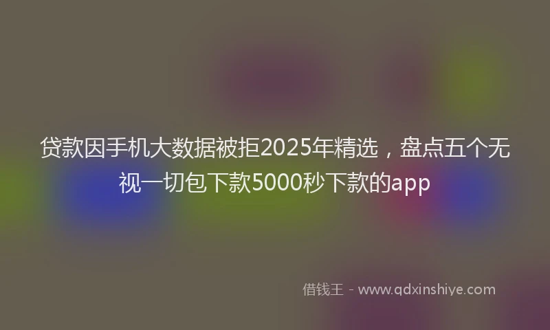 贷款因手机大数据被拒2025年精选，盘点五个无视一切包下款5000秒下款的app
