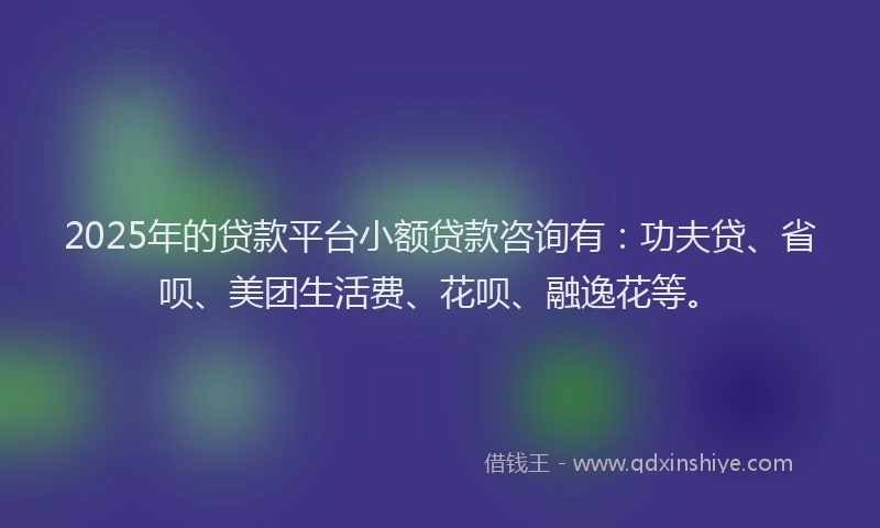 2025年的贷款平台小额贷款咨询有：功夫贷、省呗、美团生活费、花呗、融逸花等。