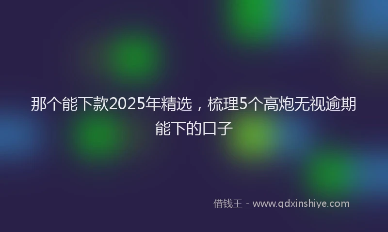那个能下款2025年精选，梳理5个高炮无视逾期能下的口子