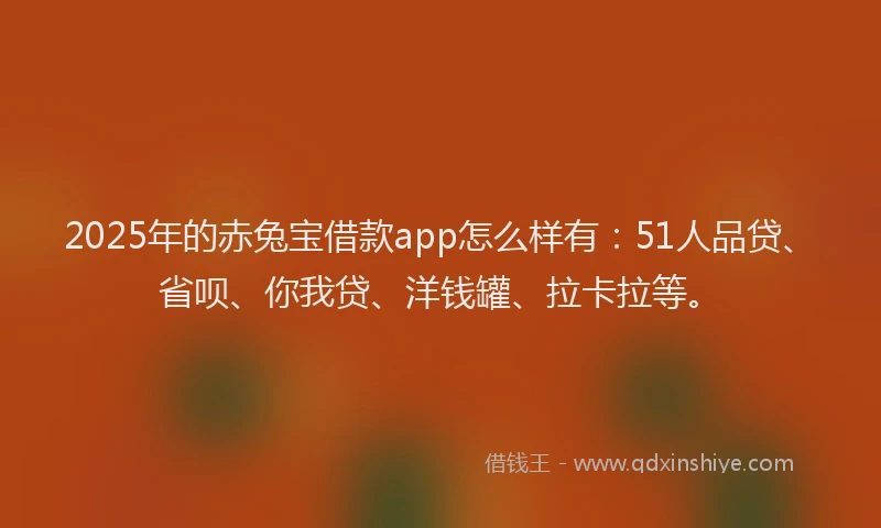 2025年的赤兔宝借款app怎么样有：51人品贷、省呗、你我贷、洋钱罐、拉卡拉等。