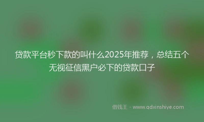 贷款平台秒下款的叫什么2025年推荐，总结五个无视征信黑户必下的贷款口子
