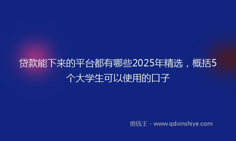 贷款能下来的平台都有哪些2025年精选，概括5个大学生可以使用的口子
