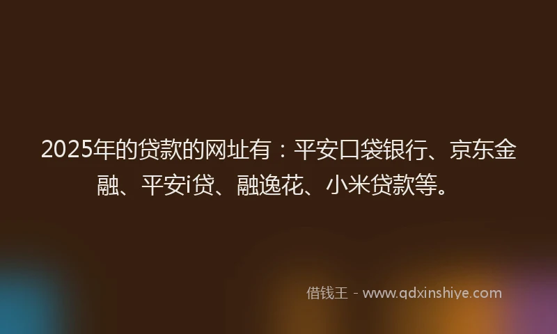 2025年的贷款的网址有：平安口袋银行、京东金融、平安i贷、融逸花、小米贷款等。