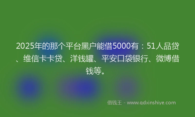 2025年的那个平台黑户能借5000有：51人品贷、维信卡卡贷、洋钱罐、平安口袋银行、微博借钱等。