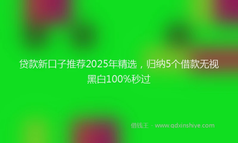 贷款新口子推荐2025年精选，归纳5个借款无视黑白100%秒过