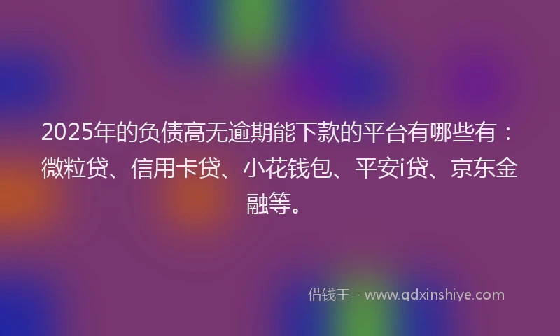 2025年的负债高无逾期能下款的平台有哪些有：微粒贷、信用卡贷、小花钱包、平安i贷、京东金融等。