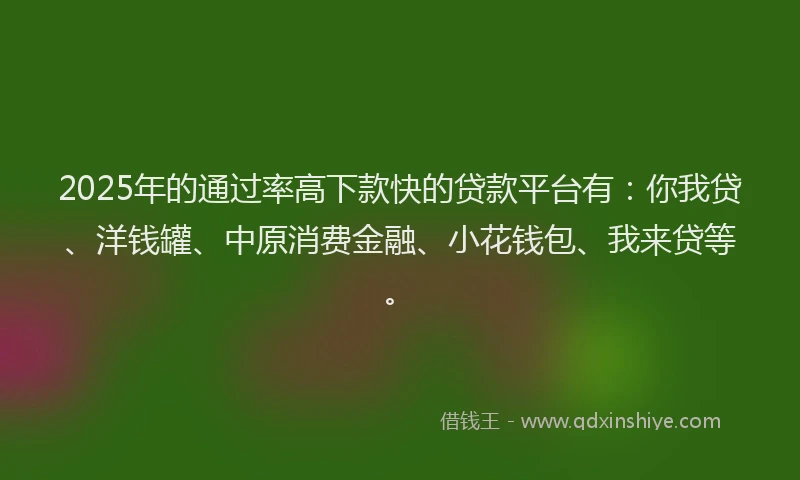 2025年的通过率高下款快的贷款平台有：你我贷、洋钱罐、中原消费金融、小花钱包、我来贷等。