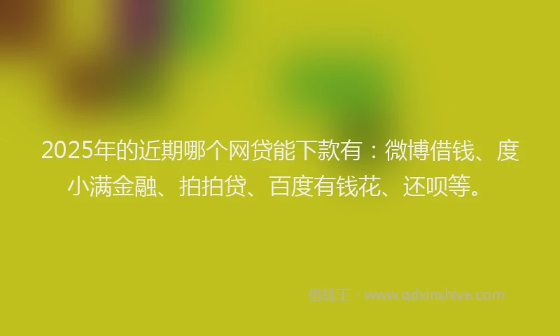 2025年的近期哪个网贷能下款有：微博借钱、度小满金融、拍拍贷、百度有钱花、还呗等。