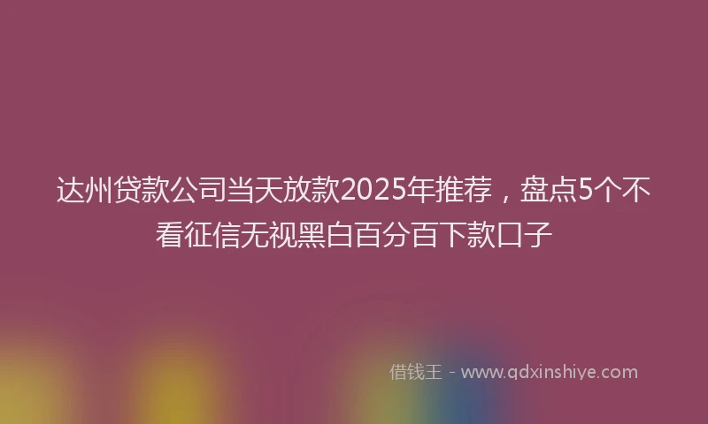 达州贷款公司当天放款2025年推荐，盘点5个不看征信无视黑白百分百下款口子