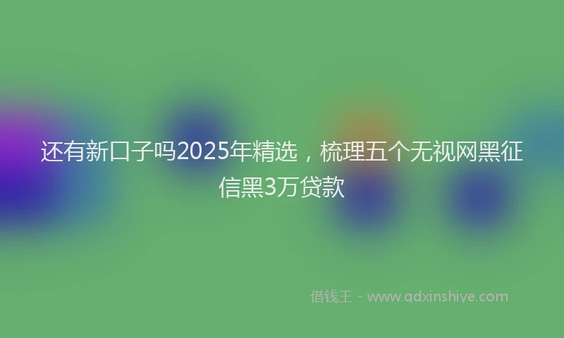 还有新口子吗2025年精选，梳理五个无视网黑征信黑3万贷款