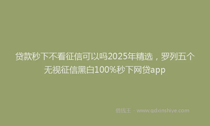 贷款秒下不看征信可以吗2025年精选，罗列五个无视征信黑白100%秒下网贷app