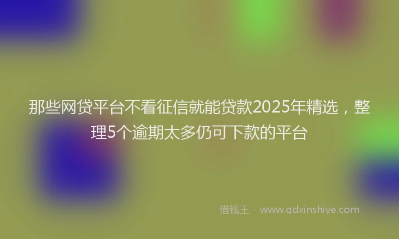 那些网贷平台不看征信就能贷款2025年精选，整理5个逾期太多仍可下款的平台