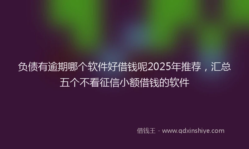 负债有逾期哪个软件好借钱呢2025年推荐，汇总五个不看征信小额借钱的软件