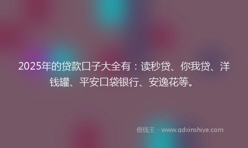 2025年的贷款口子大全有：读秒贷、你我贷、洋钱罐、平安口袋银行、安逸花等。