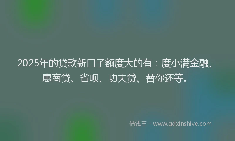 2025年的贷款新口子额度大的有：度小满金融、惠商贷、省呗、功夫贷、替你还等。