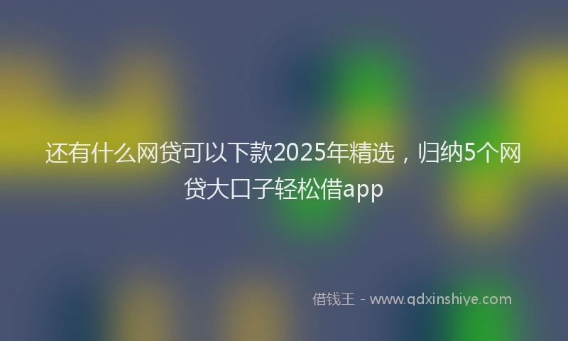 还有什么网贷可以下款2025年精选，归纳5个网贷大口子轻松借app