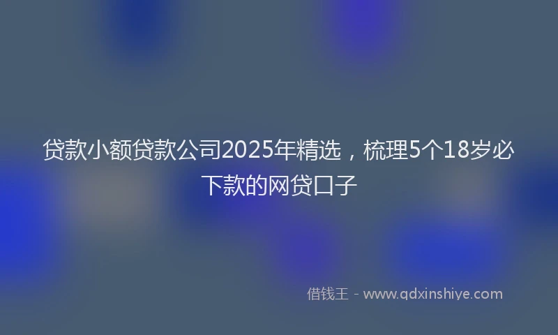 贷款小额贷款公司2025年精选，梳理5个18岁必下款的网贷口子
