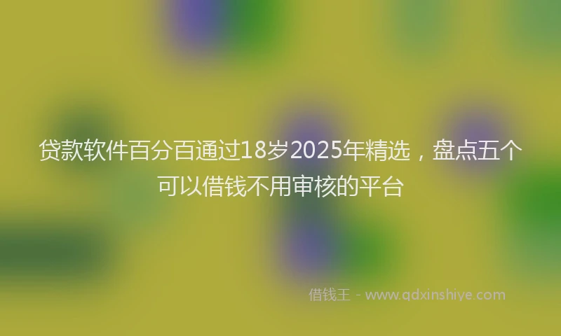 贷款软件百分百通过18岁2025年精选，盘点五个可以借钱不用审核的平台