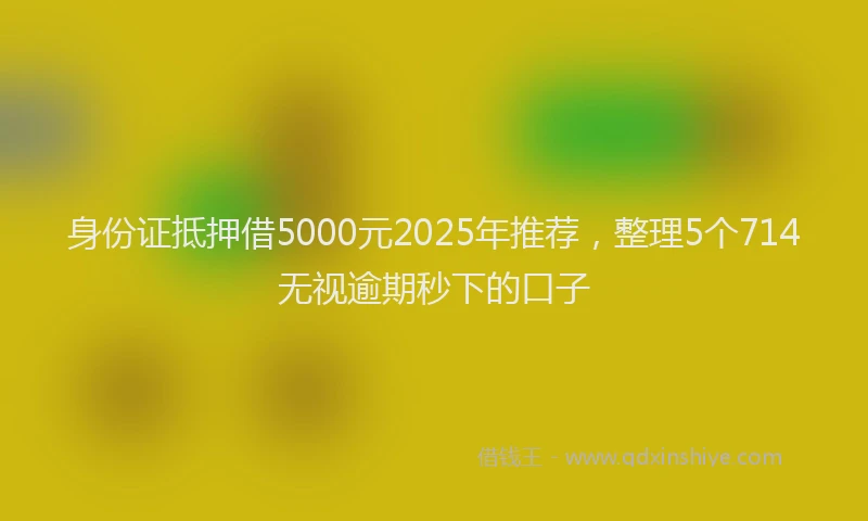 身份证抵押借5000元2025年推荐，整理5个714无视逾期秒下的口子