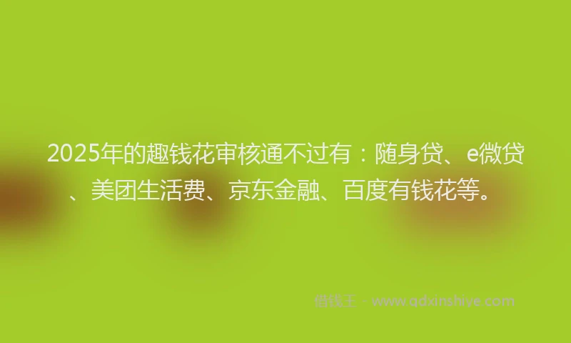 2025年的趣钱花审核通不过有：随身贷、e微贷、美团生活费、京东金融、百度有钱花等。