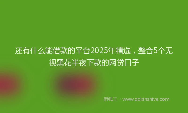 还有什么能借款的平台2025年精选，整合5个无视黑花半夜下款的网贷口子
