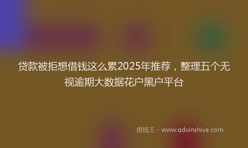 贷款被拒想借钱这么累2025年推荐，整理五个无视逾期大数据花户黑户平台