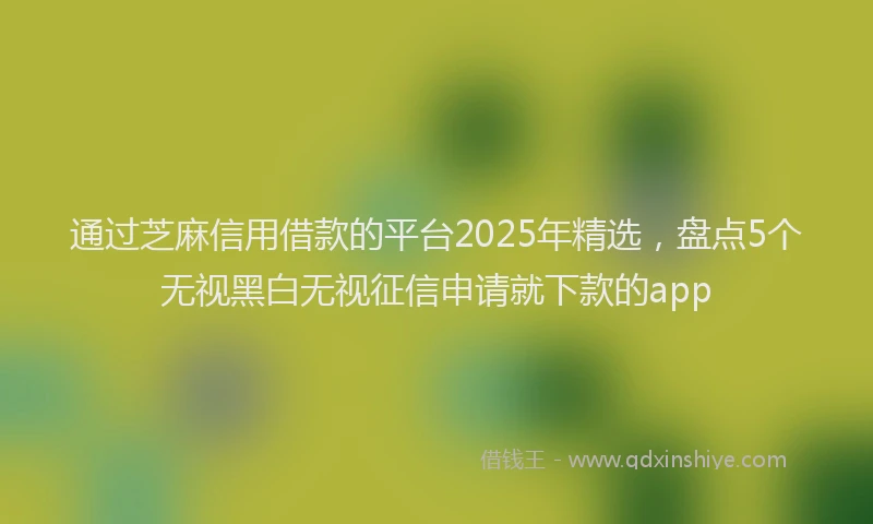 通过芝麻信用借款的平台2025年精选，盘点5个无视黑白无视征信申请就下款的app