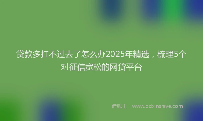 贷款多扛不过去了怎么办2025年精选，梳理5个对征信宽松的网贷平台