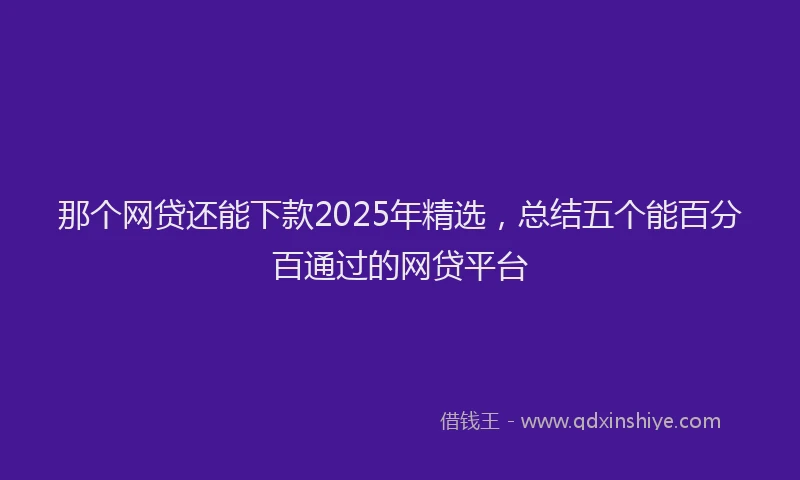 那个网贷还能下款2025年精选，总结五个能百分百通过的网贷平台