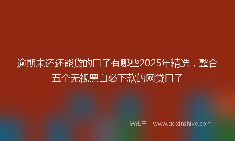 逾期未还还能贷的口子有哪些2025年精选，整合五个无视黑白必下款的网贷口子