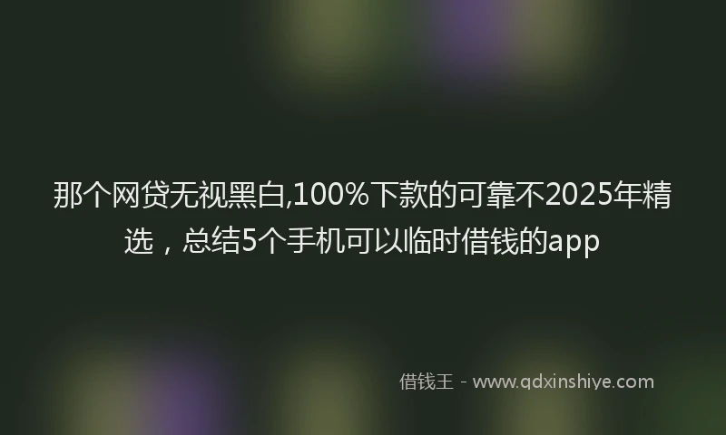 那个网贷无视黑白,100%下款的可靠不2025年精选，总结5个手机可以临时借钱的app
