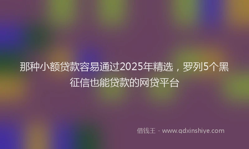 那种小额贷款容易通过2025年精选，罗列5个黑征信也能贷款的网贷平台