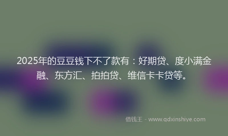 2025年的豆豆钱下不了款有：好期贷、度小满金融、东方汇、拍拍贷、维信卡卡贷等。