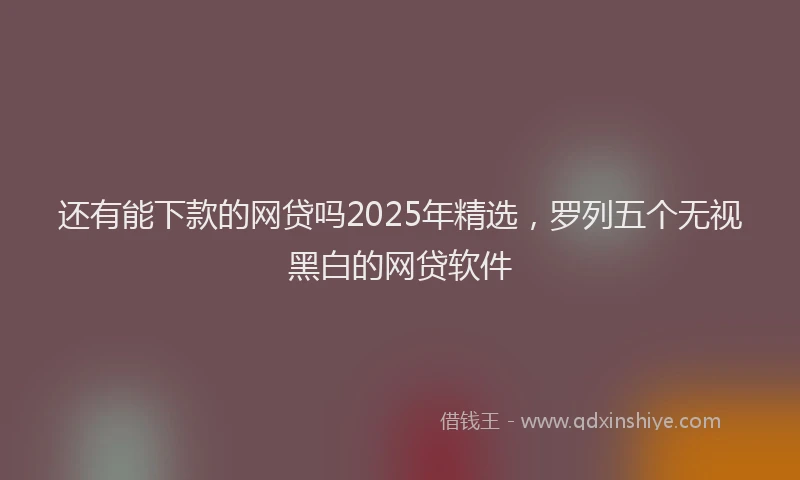 还有能下款的网贷吗2025年精选，罗列五个无视黑白的网贷软件