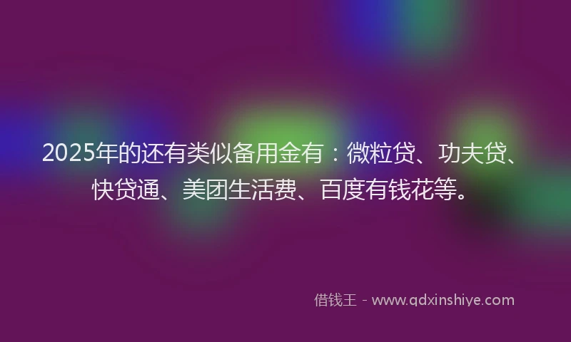 2025年的还有类似备用金有：微粒贷、功夫贷、快贷通、美团生活费、百度有钱花等。