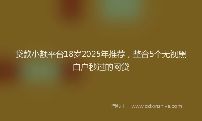 贷款小额平台18岁2025年推荐，整合5个无视黑白户秒过的网贷