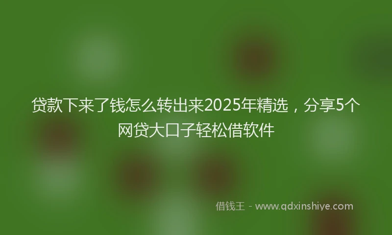 贷款下来了钱怎么转出来2025年精选，分享5个网贷大口子轻松借软件